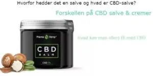 CBD salve og cremer hvad er forskellen og hvad kan man ellers få af hampolie cbd olie