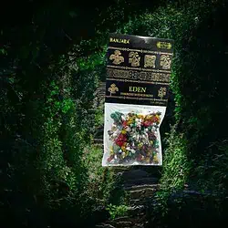 Banjara tree resin Eden