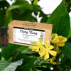 Ylang ylang Cananga Odorata